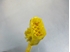 Bild von Airbag Satz Opel Corsa B aus 1997 zu 2001 | SIEMENS 09114585