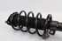 Picture of Suspensão / amortecedor e mola frente esquerdo Ford Focus de 2008 a 2011 | FOMOCO 4M51-18K001-PBB
