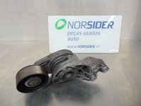 Picture of Accessory belt tensioner Seat Ibiza Van from 2006 to 2008