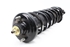 Picture of Suspensão / amortecedor e mola trás direita Rover Serie 200 de 1996 a 2000
