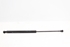Picture of Amortecedor de mala Peugeot 207 de 2006 a 2009 | 9650780480