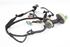 Imagen de Instalación eléctrica puerta delantera derecha Peugeot 207 de 2006 a 2009 | 9686851180
