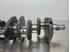 Immagine di Albero motore Fiat Punto Van da 1994 a 1997 | Ref. Motor: 176A5000
