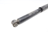 Picture of Amortecedor trás direito Renault Clio III Fase I de 2005 a 2009 | 8200452699