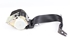 Imagen de Cinturon seguridad trasero izquierdo Ford Focus de 2008 a 2011 | 4M51-A611B68-CB