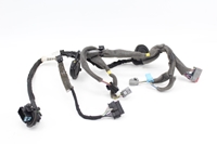 Imagen de Instalación eléctrica puerta trasera izquierda Volvo V40 de 2012 a 2016 | 31313717