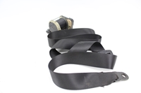 Imagen de Cinturon seguridad delantero derecho Ford Focus Station de 2008 a 2011 | 4M51-A61294-AL