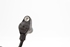 Immagine di Sensore ABS anteriore destro Citroen Xsara Break de 2000 a 2006 | BOSCH 0265006389