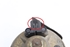 Picture of Horn Renault Laguna from 1994 to 1998 | STEBEL