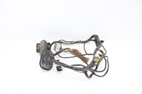 Picture of Front Door Loom / Harness - Right Renault Laguna from 1994 to 1998