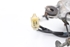 Imagen de Motor limpia trazero Toyota Starlet de 1985 a 1989 | 85110-10300
ND 159100-0861