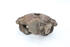 Picture of Right Front Brake Caliper Volkswagen Passat Variant from 1989 to 1994