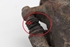 Picture of Right Front Brake Caliper Volkswagen Passat Variant from 1989 to 1994