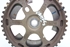 Picture of Camshaft Pulley Citroen C4 Coupe from 2004 to 2008 | 9640473280