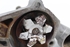 Imagen de Bomba de agua Hyundai Accent de 1999 a 2001