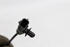 Bild von ABS Sensor vorne rechts Ford Fiesta aus 2008 zu 2012 | BOSCH 0265008102