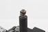 Bild von Wischermotor hinten Bmw Serie-3 Touring (E36) aus 1995 zu 1999 | Bosch 0390201531
61.62-8360154