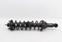 Picture of Suspensão / amortecedor e mola trás esquerdo Rover Serie 200 de 1996 a 2000 | KYB