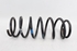 Picture of Rear Spring - Left Daewoo Matiz from 2001 to 2004