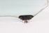 Imagen de Luna de puerta trasera derecha Honda Civic de 1995 a 1998