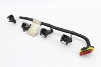 Picture of Instalação eléctrica de injecção Fiat Bravo de 1998 a 2001 | BOSCH 2434414003