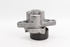 Image sur Tendeur de courroie accessoire Renault Megane Scenic I Fase II de 1999 à 2003 | 7700102872