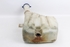 Picture of Windscreen Washer Fluid Tank Peugeot 306 from 1993 to 1997