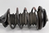 Imagen de Suspension / amortiguador e muelle delantera izquierda Rover Serie 400 de 1990 a 1992 | DELPHI