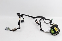 Immagine di Impianto elettrico porta anteriore destra Peugeot 207 de 2009 a 2014 | 9687555780