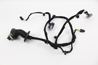 Picture of Rear Door Loom / Harness - Left Peugeot 207 from 2009 to 2014 | 9687584380