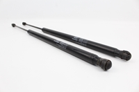 Picture of Tailgate Lifters (Pair) Hyundai Matrix from 2001 to 2005