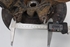 Bild von Achsschenkel hinten links Hyundai Tucson aus 2004 zu 2006