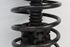Picture of Suspensão / amortecedor e mola frente esquerdo Renault R 19 de 1992 a 1996 | KYB