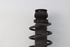 Imagen de Suspension / amortiguador e muelle delantera izquierda Skoda Octavia de 2000 a 2005