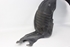 Imagem de Cave de roda frente direita Mazda Mazda 6 Station Wagon de 2002 a 2005