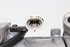 Bild von Klimakompressor Opel Meriva aus 2003 zu 2006 | SANDEN 04809309362
GM 24421642