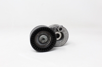 Picture of Tensor da correia de acessórios Renault Megane II Break de 2003 a 2006 | 8200048486