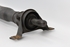 Picture of Drive Shaft Rear Mercedes Classe E (210) from 1995 to 1999