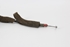 Imagen de Maneta interior de tapa maletero / porton trasero Peugeot Partner Van de 1996 a 2002