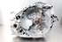 Imagem de Caixa de velocidades Citroen Xantia de 1993 a 1998 | 20CL68
5838972B