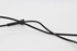 Bild von ABS Sensor hinten links Renault Megane II Break Fase II aus 2006 zu 2009 | ATE