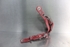 Imagen de Bisagra de capot izquierda Bmw Serie-3 Compact (E46) de 2001 a 2005