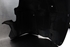 Picture of Front Right Wheel Arch Liner Fiat Brava from 1995 to 1999