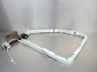 Picture of Airbag de cortina frente direito Renault Megane Scenic I Fase II de 1999 a 2003