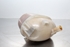 Immagine di Vaschetta acqua radiatore Opel Corsa C de 2000 a 2003