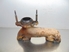 Picture of Colector de escape Citroen Berlingo Van de 1996 a 2002