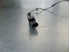 Bild von ABS Sensor vorne rechts Fiat Grande Punto Van aus 2006 zu 2012 | BOSH - 26007671