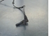 Bild von ABS Sensor vorne rechts Fiat Grande Punto Van aus 2006 zu 2012 | BOSH - 26007671