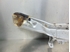 Picture of Travessa frente superior Fiat Bravo Van de 1998 a 2002