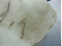 Picture of Windscreen Washer Fluid Tank Seat Ibiza from 1993 to 1997
